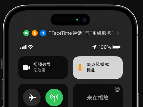 平阳苹果授权维修网点分享iPhone在通话时让你的声音更清晰 