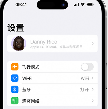 平阳appleID维修服务iPhone设置中Apple ID显示为灰色无法使用 