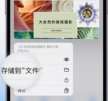 平阳apple维修中心分享iPhone文件应用中存储和找到下载文件
