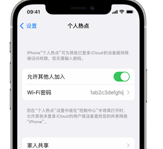 平阳apple服务站点分享iPhone上个人热点丢失了怎么办 