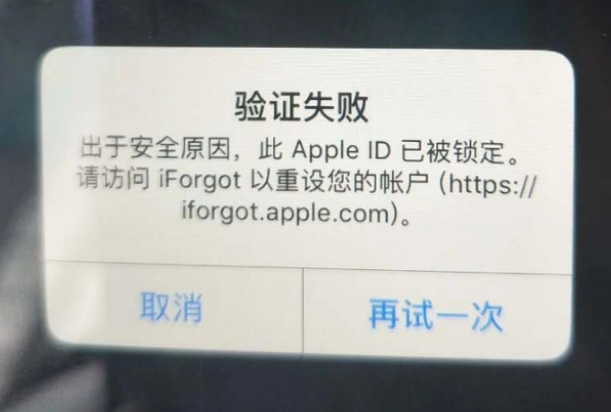 平阳iPhone维修分享iPhone上正常登录或使用AppleID怎么办 