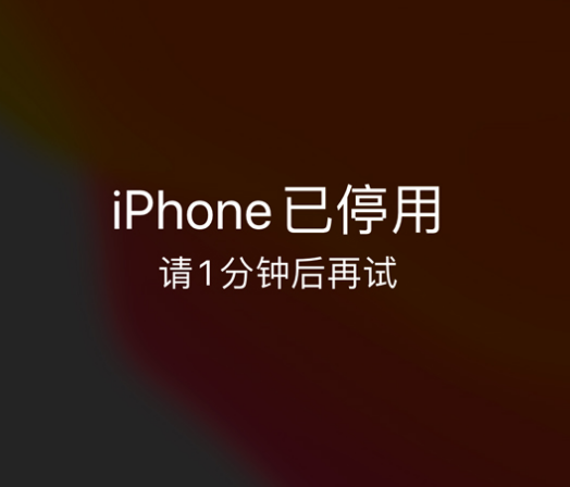 平阳苹果手机维修分享:iPhone 显示“不可用”或“已停用”怎么办？还能保留数据吗？ 