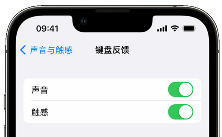 平阳苹果手机维修分享iPhone 14触感键盘使用方法 
