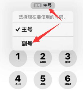 平阳苹果14维修店分享iPhone 14 Pro Max使用副卡打电话的方法 