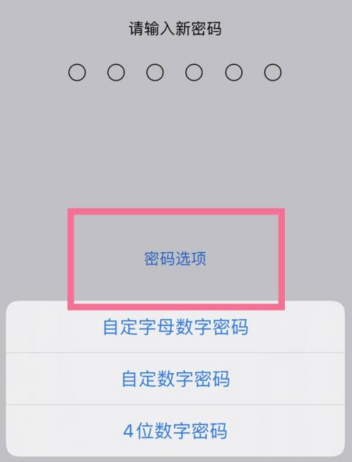 平阳苹果14维修分享iPhone 14plus设置密码的方法 