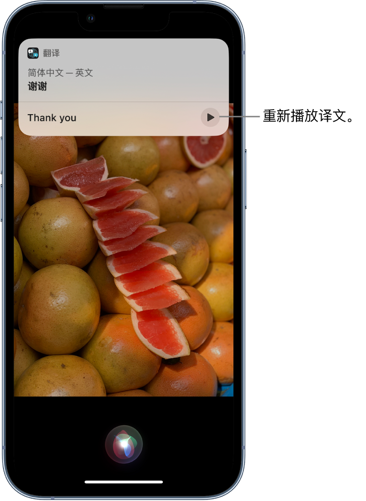 平阳苹果14维修分享 iPhone 14 机型中使用 Siri：了解 Siri 能帮你做什么 