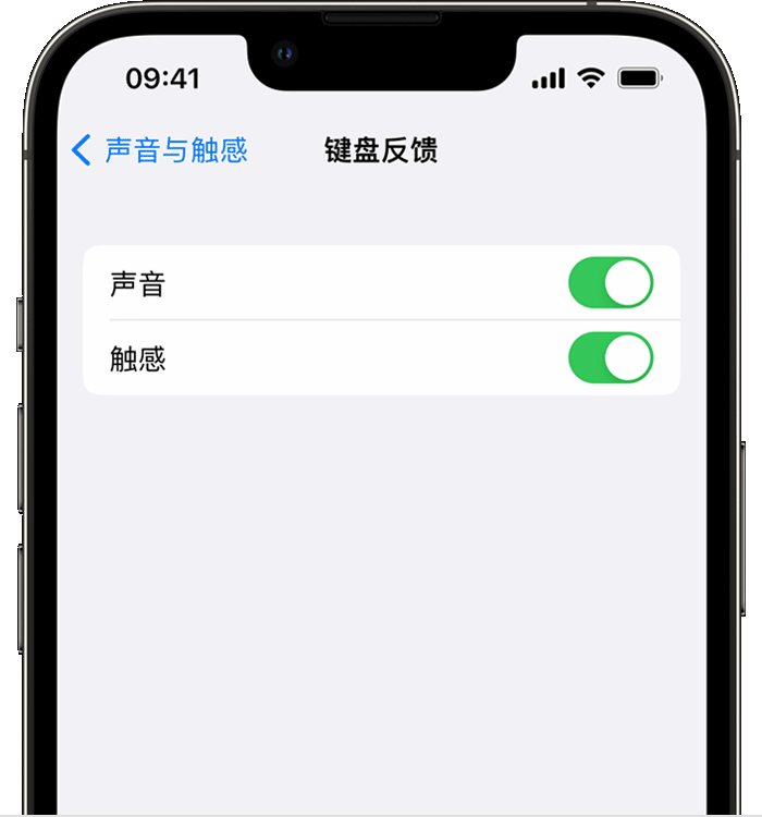 平阳苹果14维修分享iPhone 14 系列机型如何开启键盘声音或触感反馈 