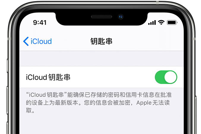 平阳苹果手机维修分享在 iPhone 上开启 iCloud 钥匙串之后会储存哪些信息 