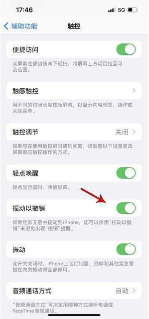 平阳苹果手机维修分享iPhone手机如何设置摇一摇删除文字 