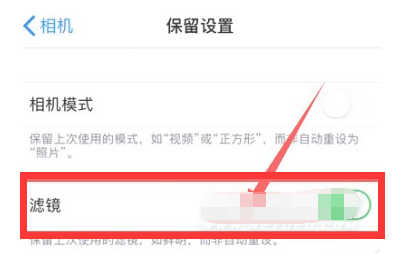 平阳苹果13维修分享iPhone13拍照有绿点是怎么回事 