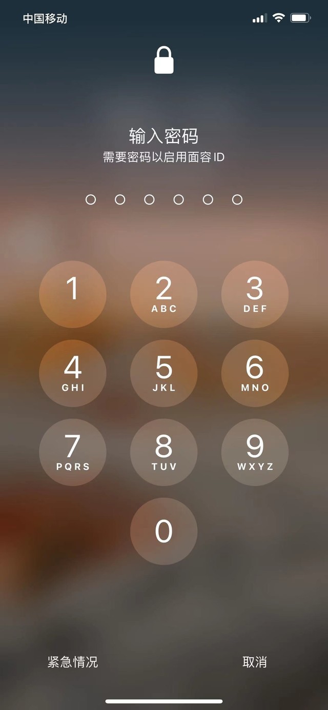平阳苹果13维修分享iPhone 13加强锁屏功能有什么用 