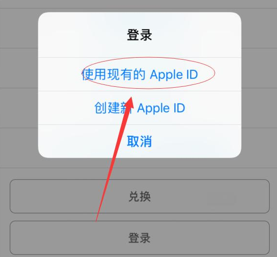 平阳苹果手机维修分享两台iPhone设备可以同时登录一个Apple ID吗 