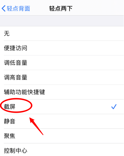 平阳苹果手机维修分享iPhone12如何启用双击截屏 