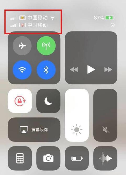 平阳苹果手机维修分享为 iPhone 12 双卡设置标签 