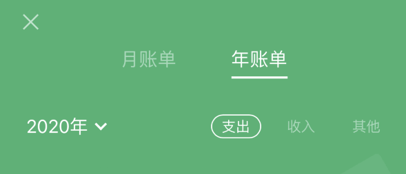 平阳苹果手机维修分享如何在 iPhone 上查看支付宝和微信年支出账单 